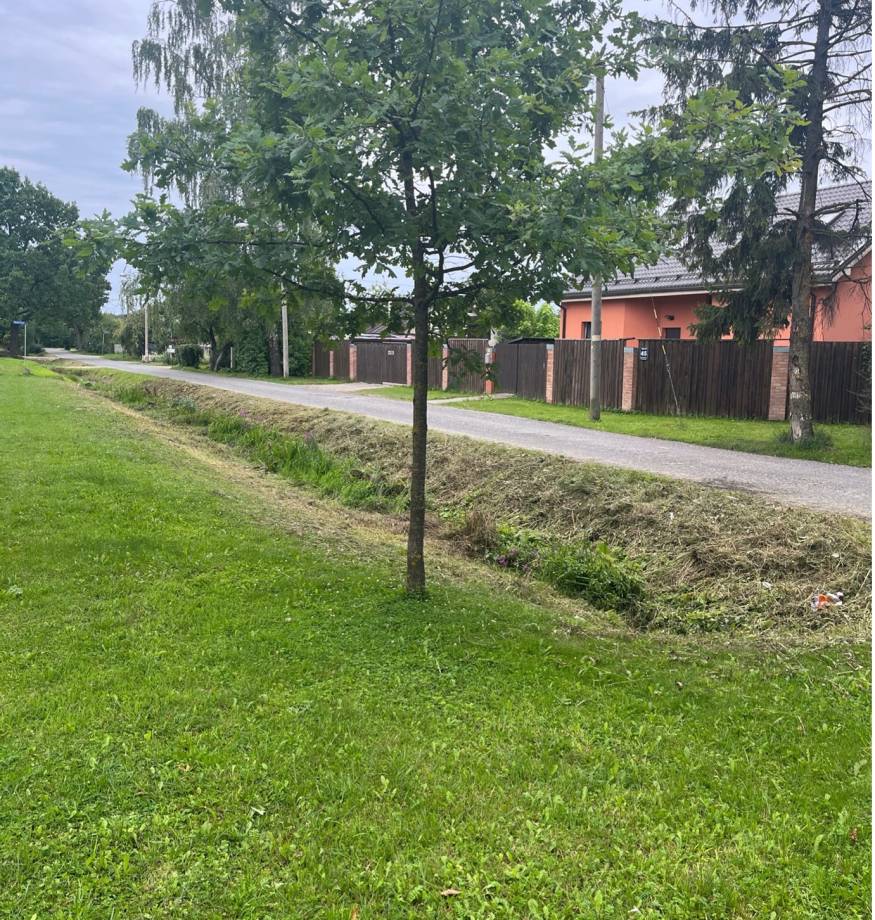 Picture 1.jpgZAAAALE